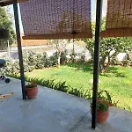 Marialena's